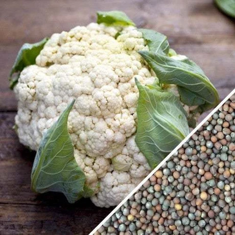 Cauliflower Seed listings