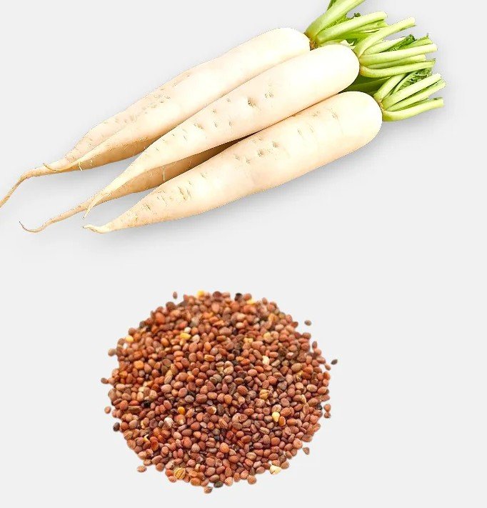 Radish Seeds