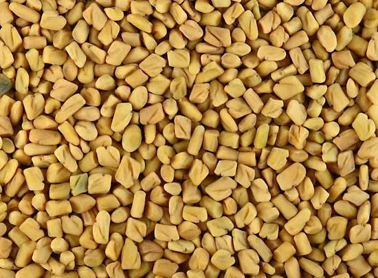 Fenugreek Seed