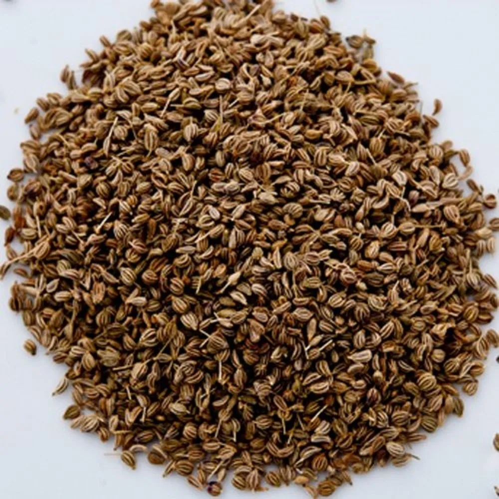 Ajwain Seed listings