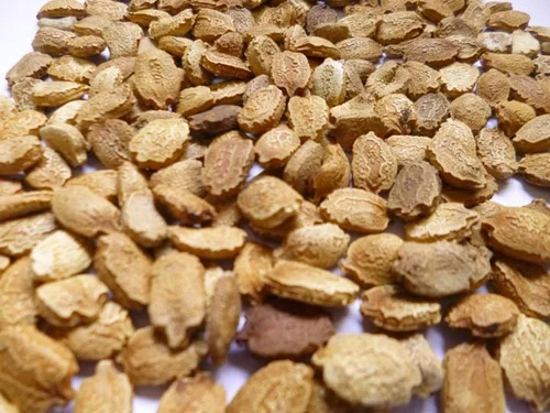 Bitter Gourd Seed listings