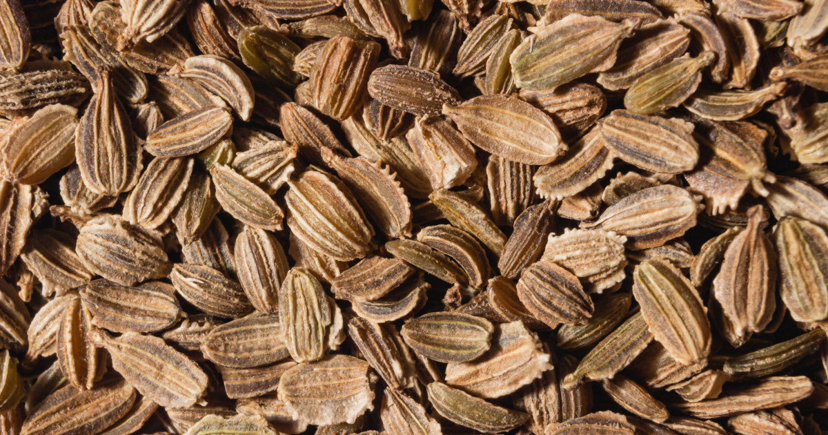 Carrot Seed listings