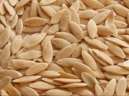 Cucumber Seed