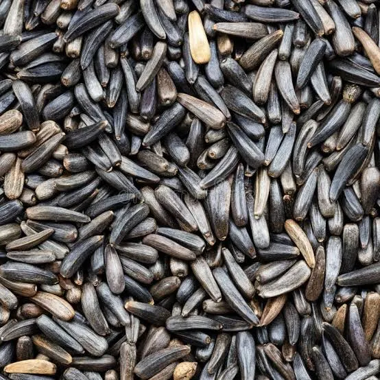 Niger Seed