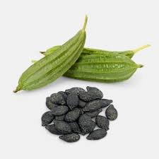 Ridge Gourd Seed
