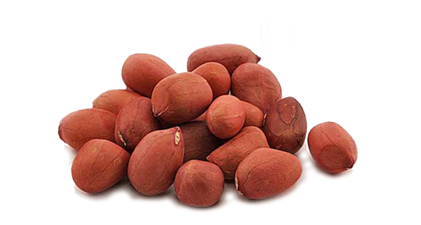 Peanut Seed