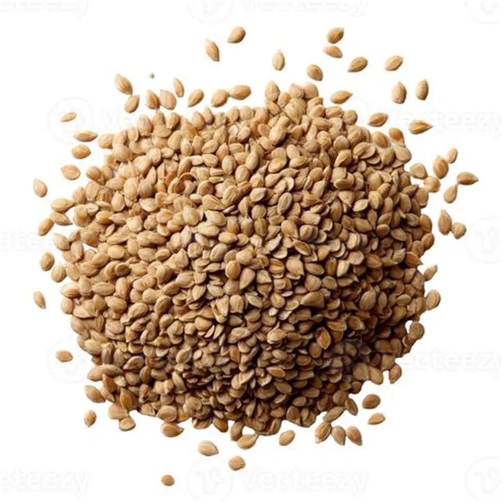 Sesame Seed