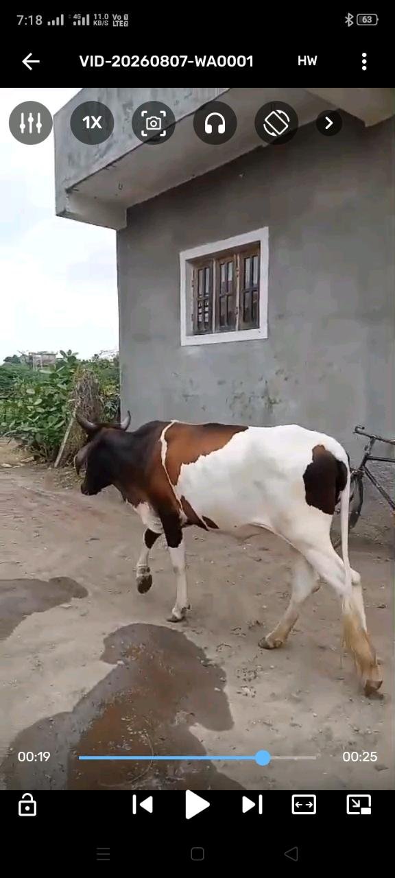 વેચાણ માં સે
