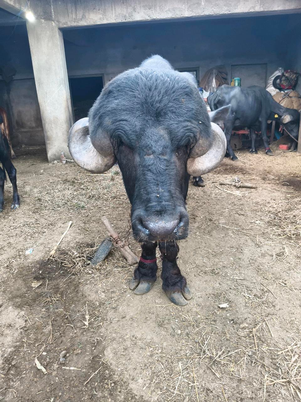 કિંમત માં ફેરફાર થઈ જશે