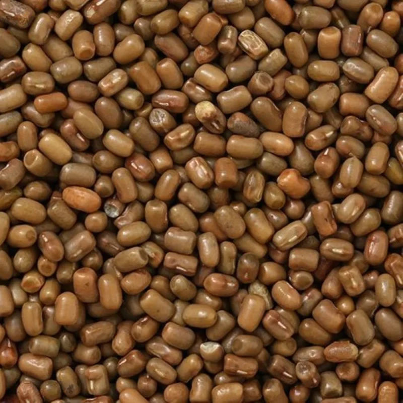 મઠ દાળ