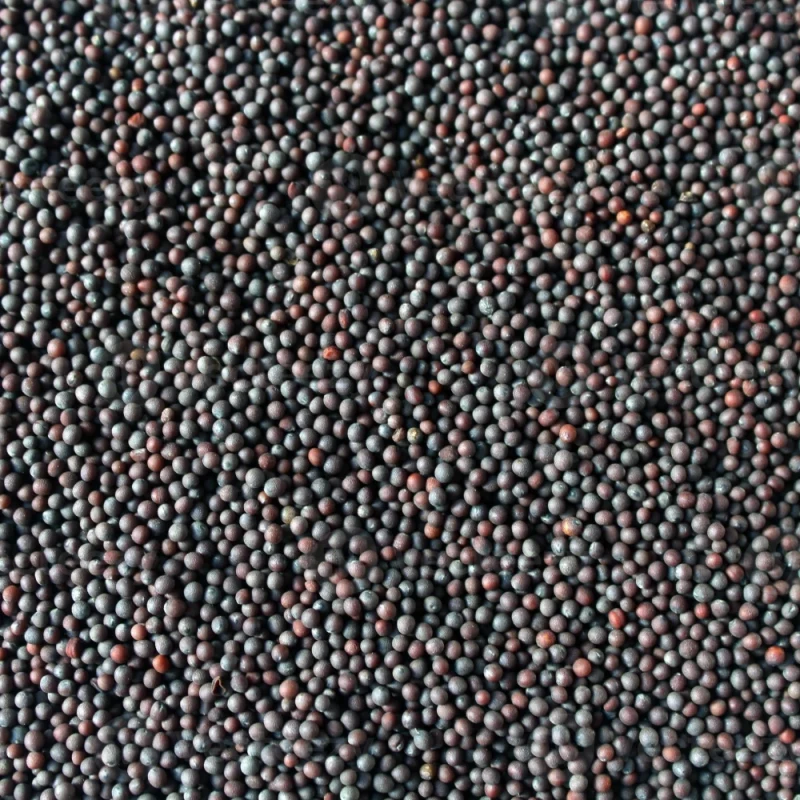 રાઈ