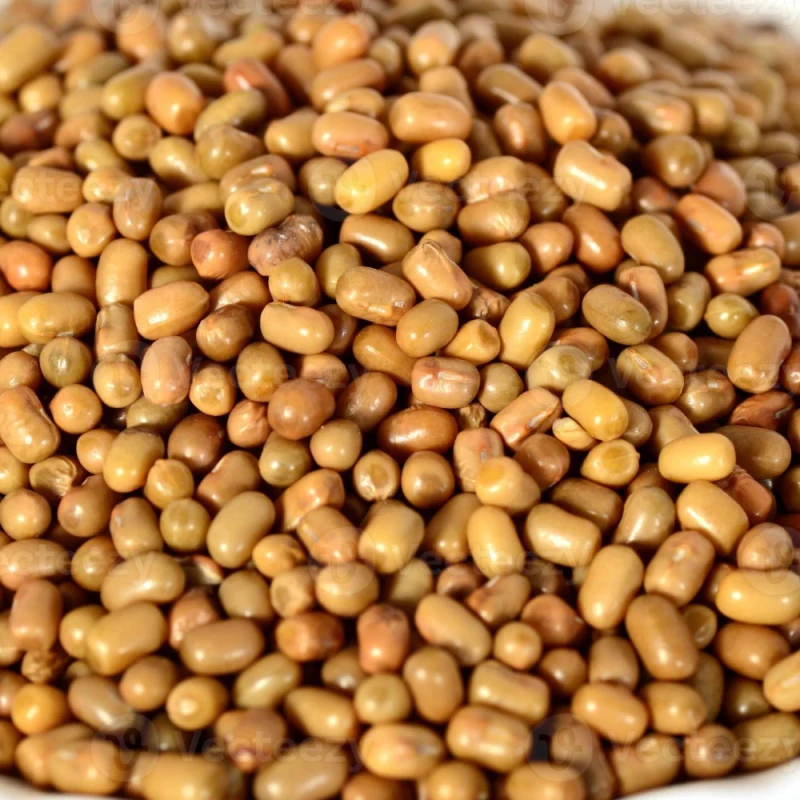 મઠ