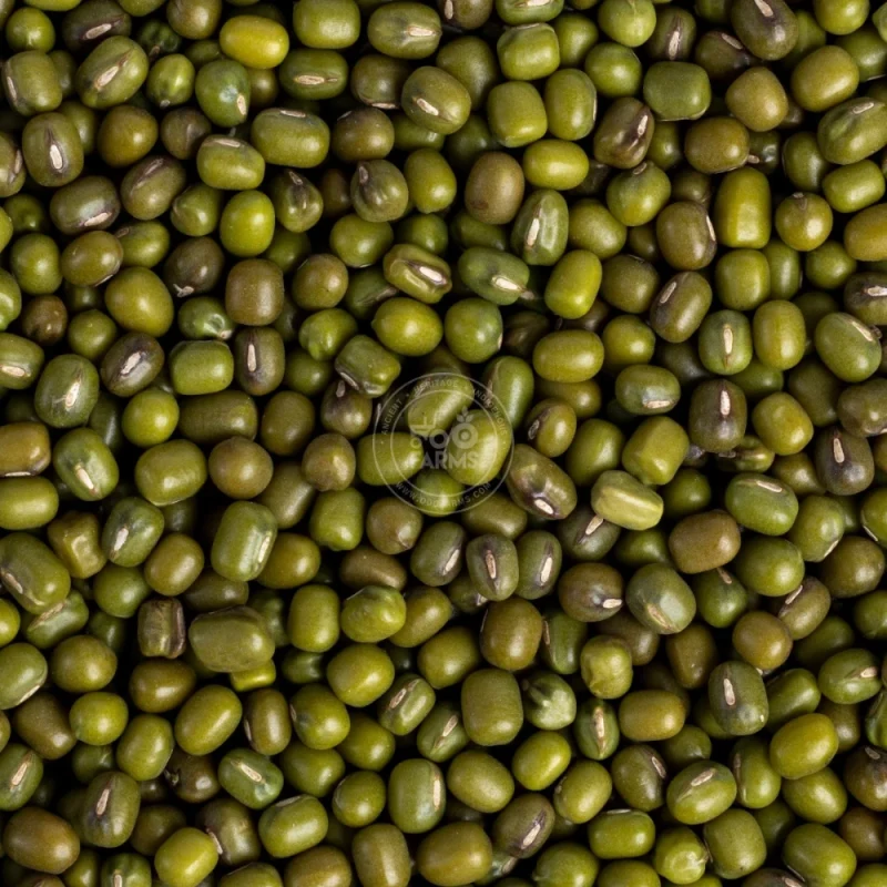 મગની દાળ