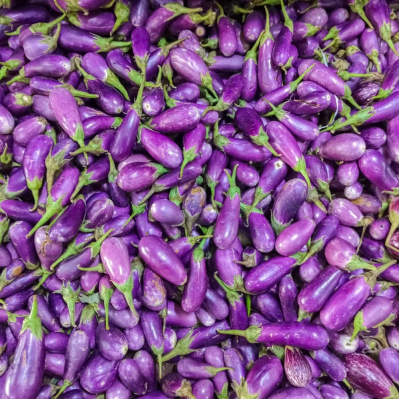 રીંગણ