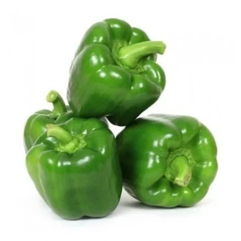 કેપ્સિકમ