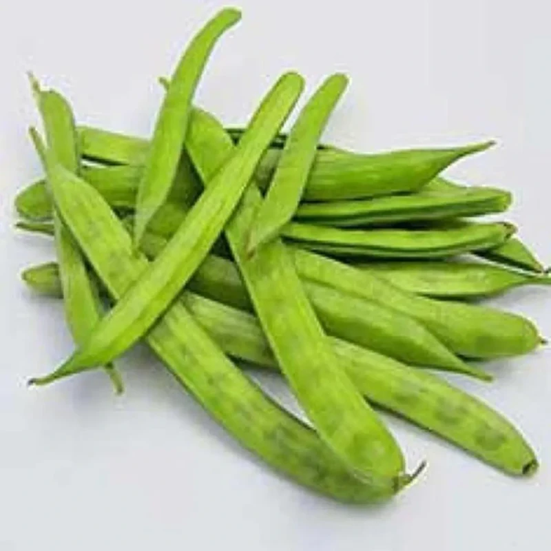 ગવાર