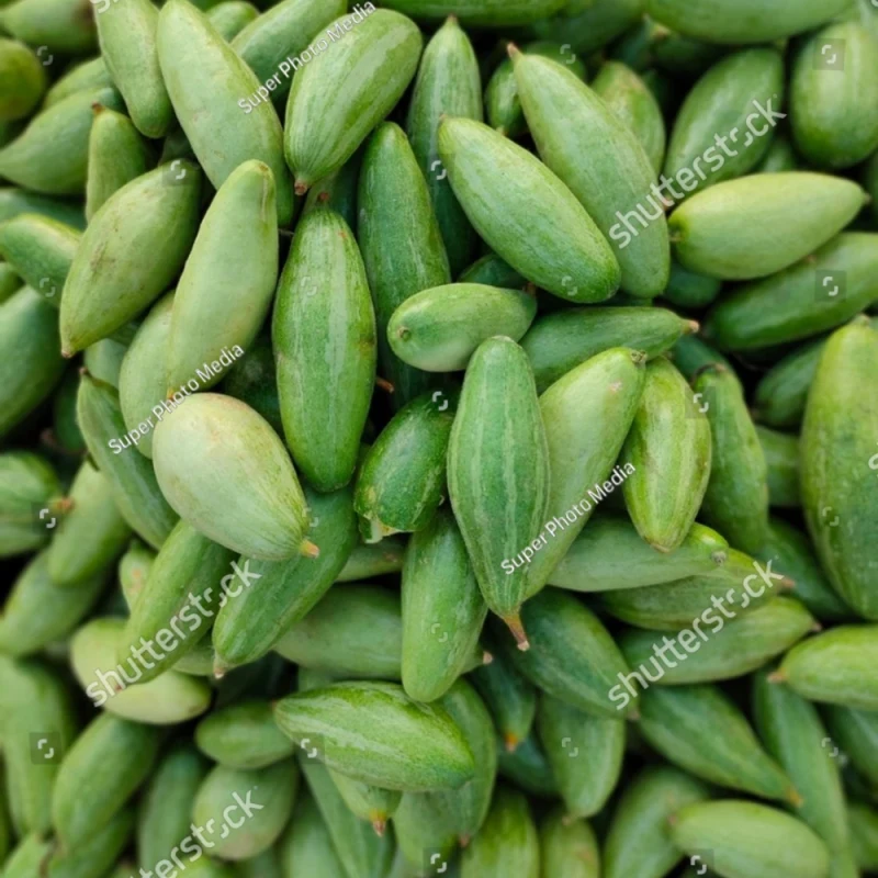 પરવળ