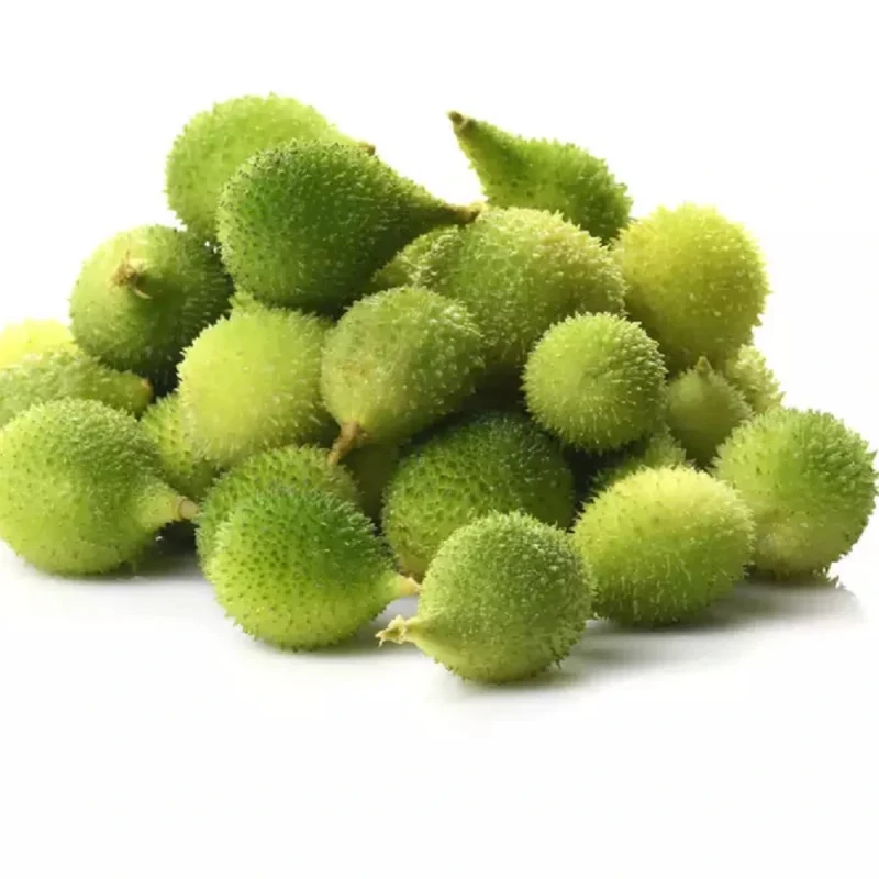કંટોળા