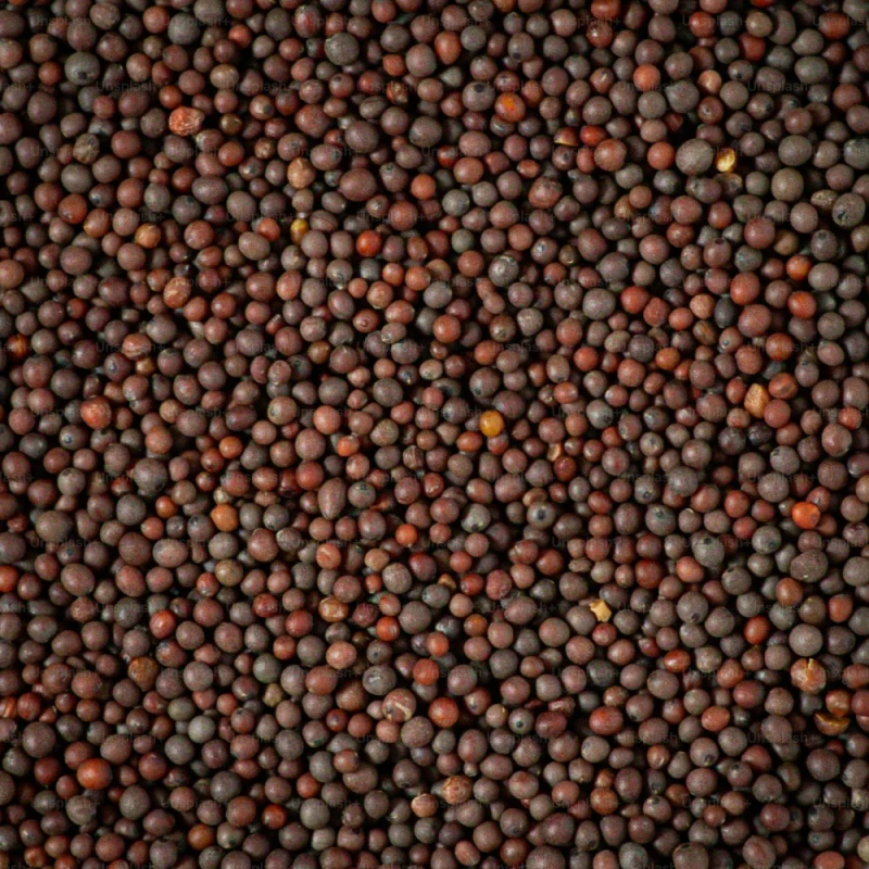 રાઈ