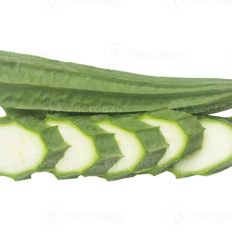 ગલકા