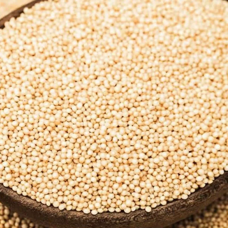 રાજગરો