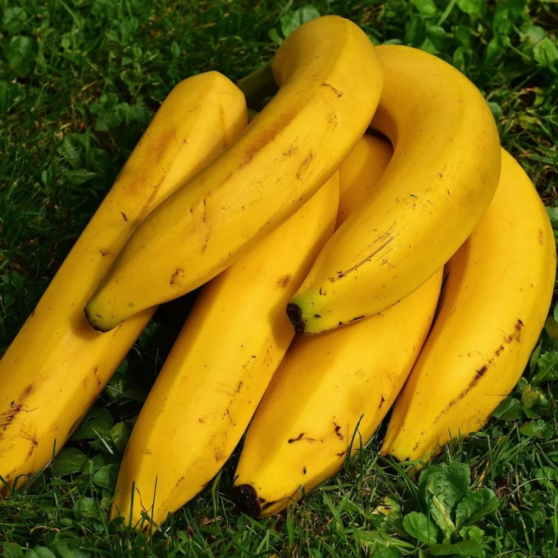 કેળા