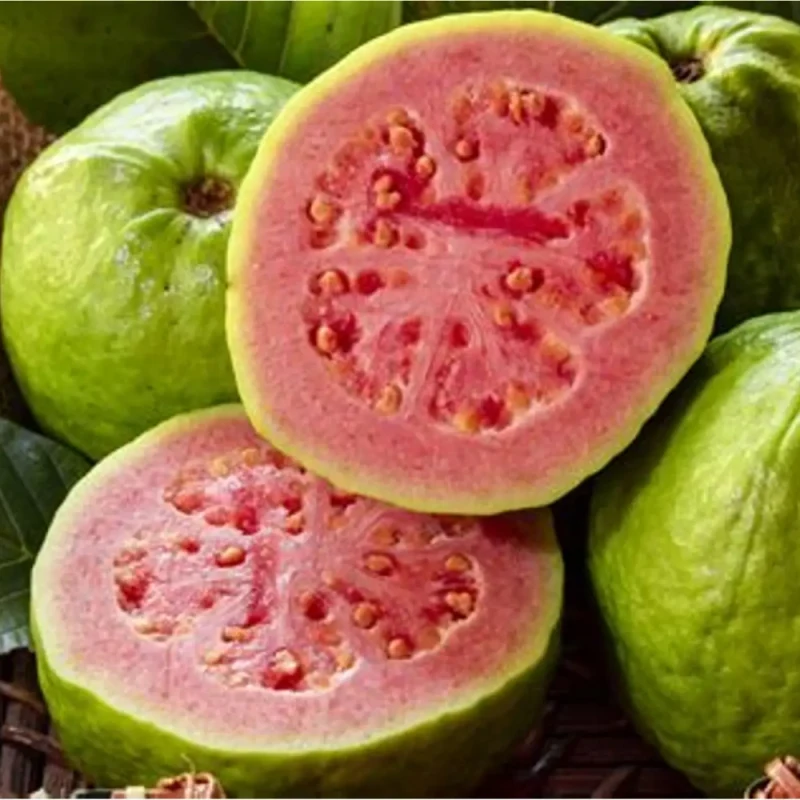 જામફળ